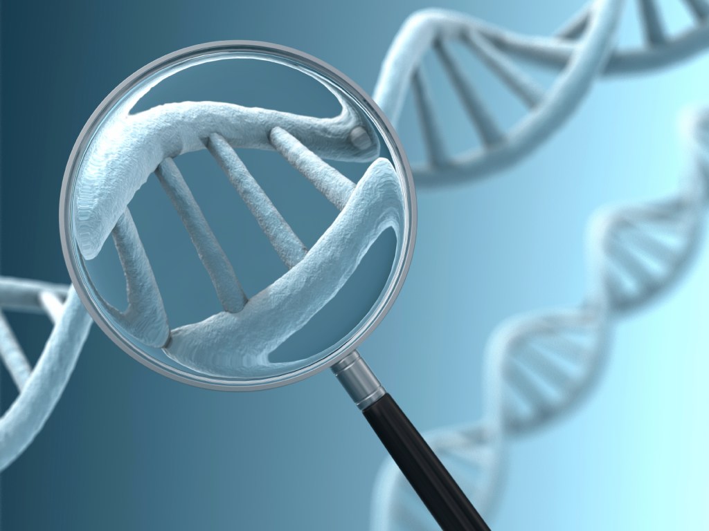 Genetic Cancer Risk Assessment Clinic